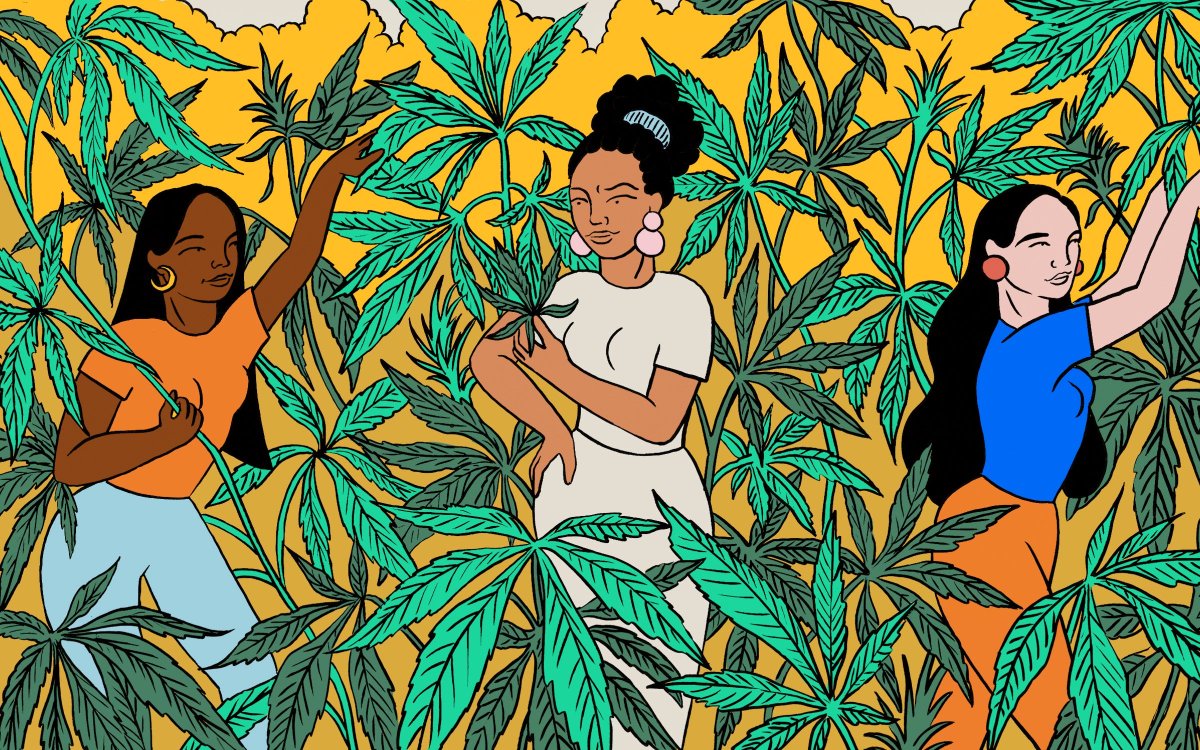 MeowMag's tweet photo. Mitos y realidades de la cannabis🌿🌿🌿 texto por @la_seniorita #MEOWThink https://t.co/wavdbXCWJH https://t.co/c0hslvWdQ4