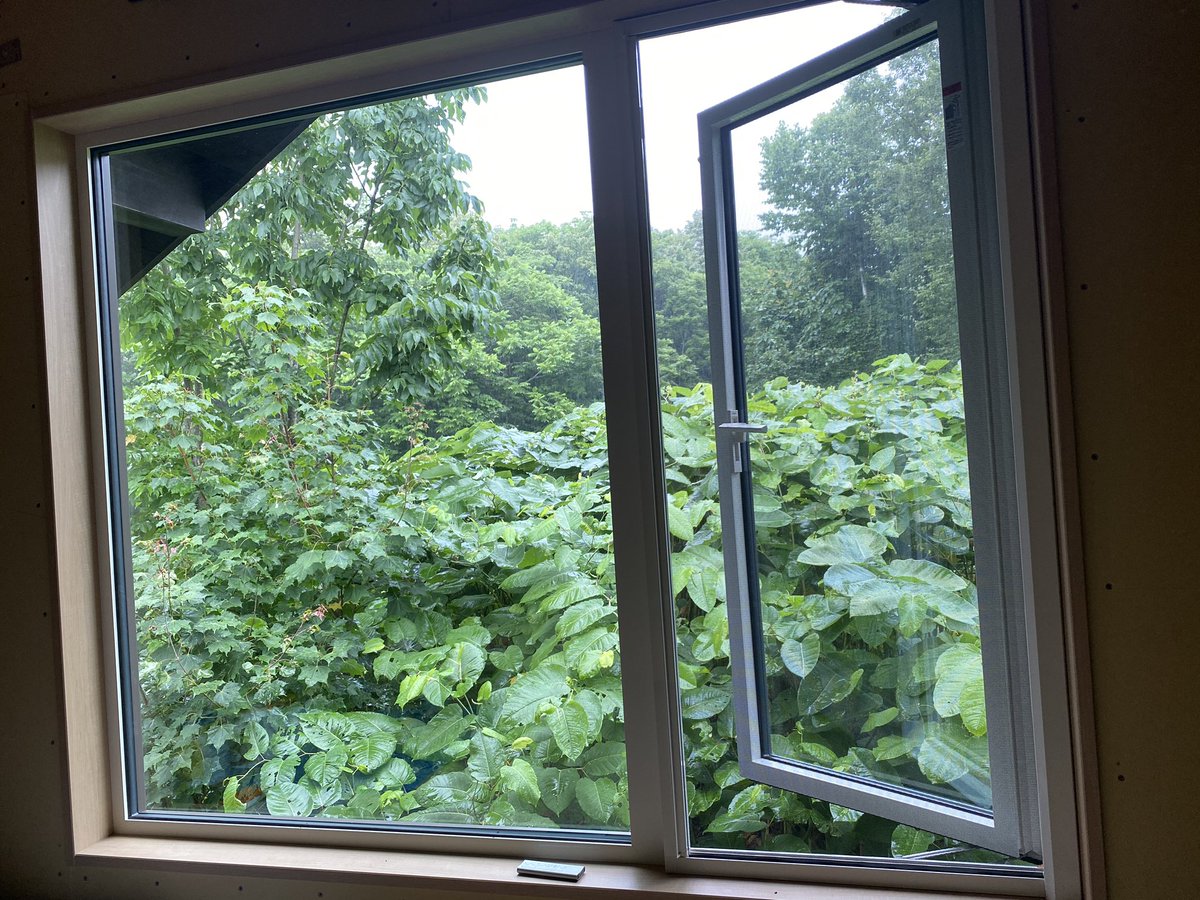 designkojo's tweet photo. 🌿🌲🌳
Looking at green nature through a window or on a computer screen can be really helpful for improving attention and performance.
If you can’t get outside or work in a city you can still benefit.
And just 40 seconds is enough
🌲🌳🌿
#productivity #7DaysofProductivity https://t.co/c4mO6JJJ5y