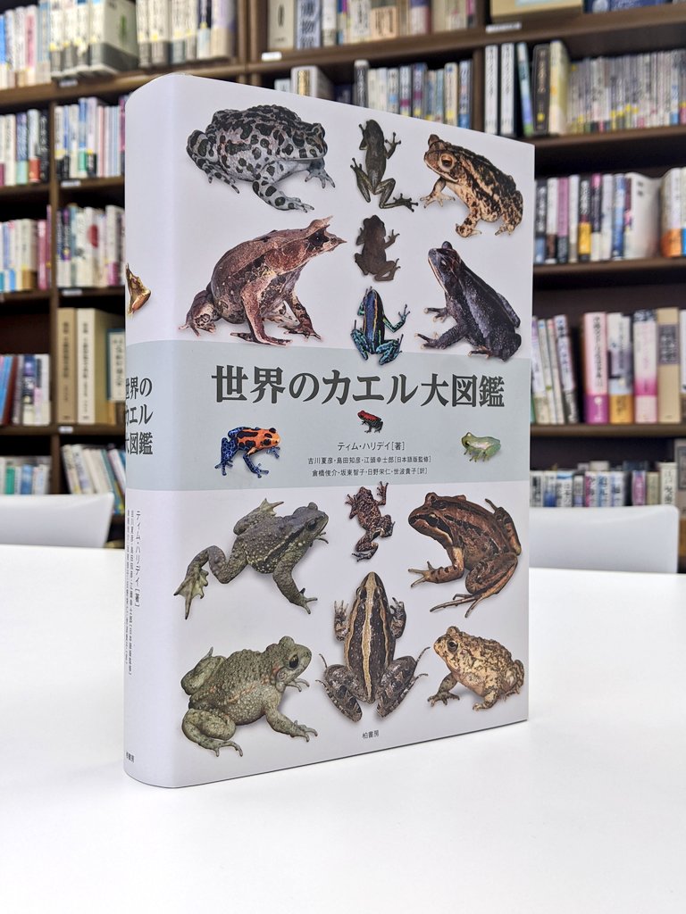 同僚Y氏の担当『世界のカエル大図鑑』ついに見本キタ！ カバーの