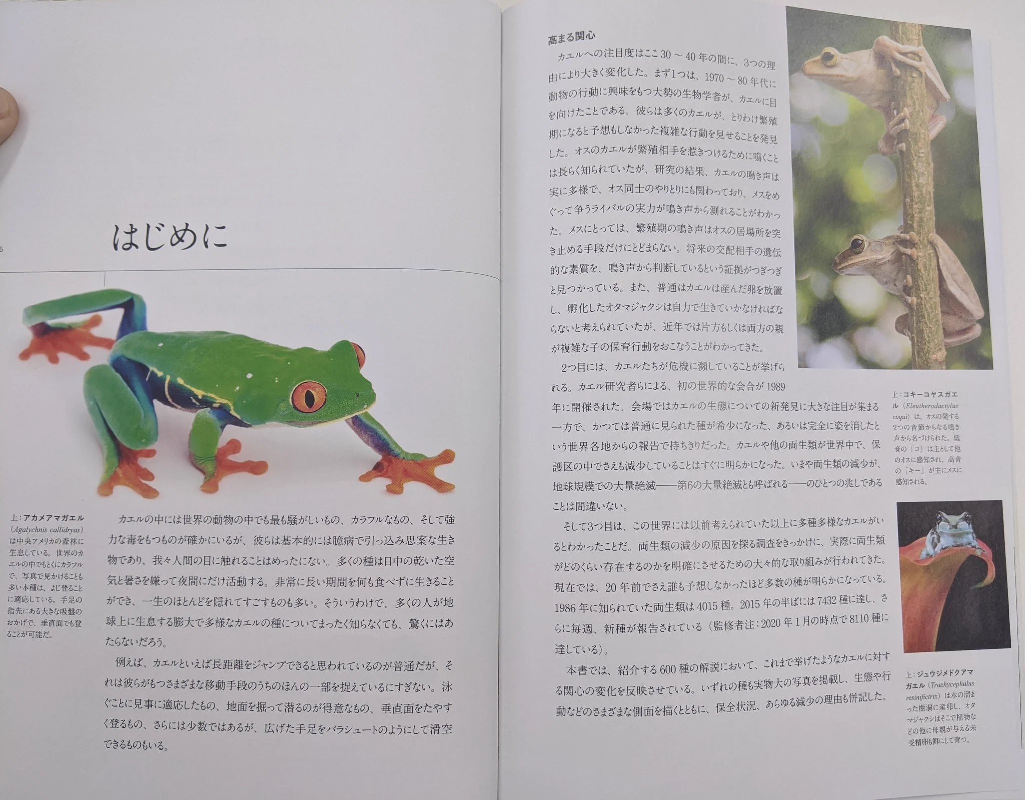 竹田純 på X: 