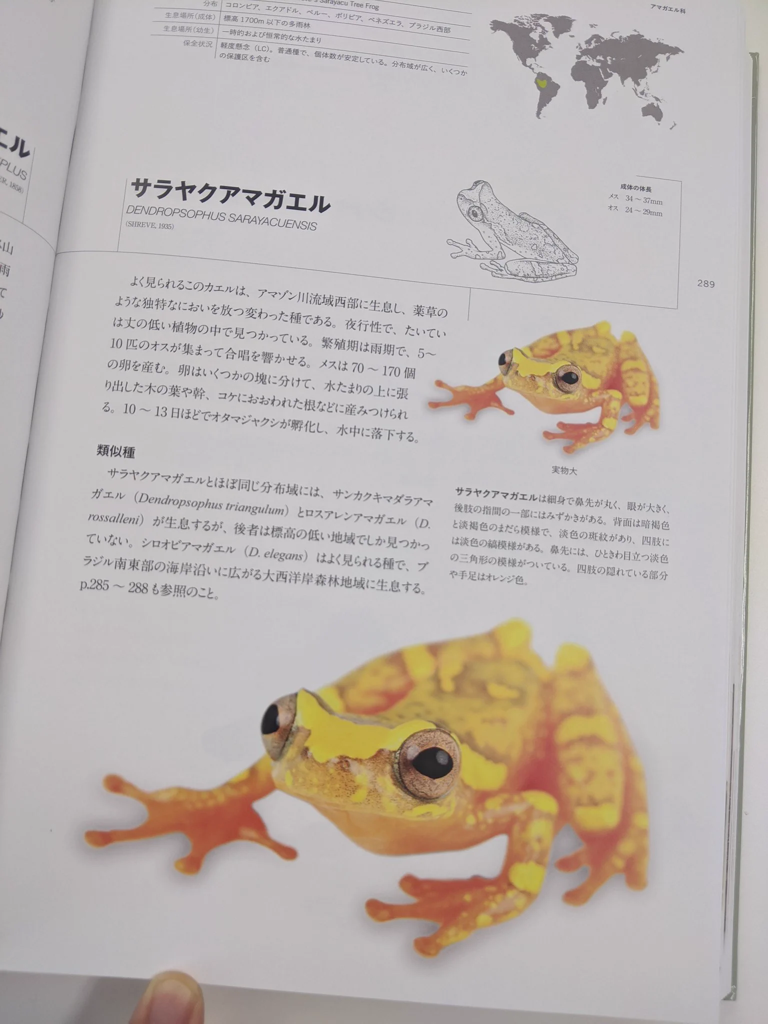 竹田純 på X: 
