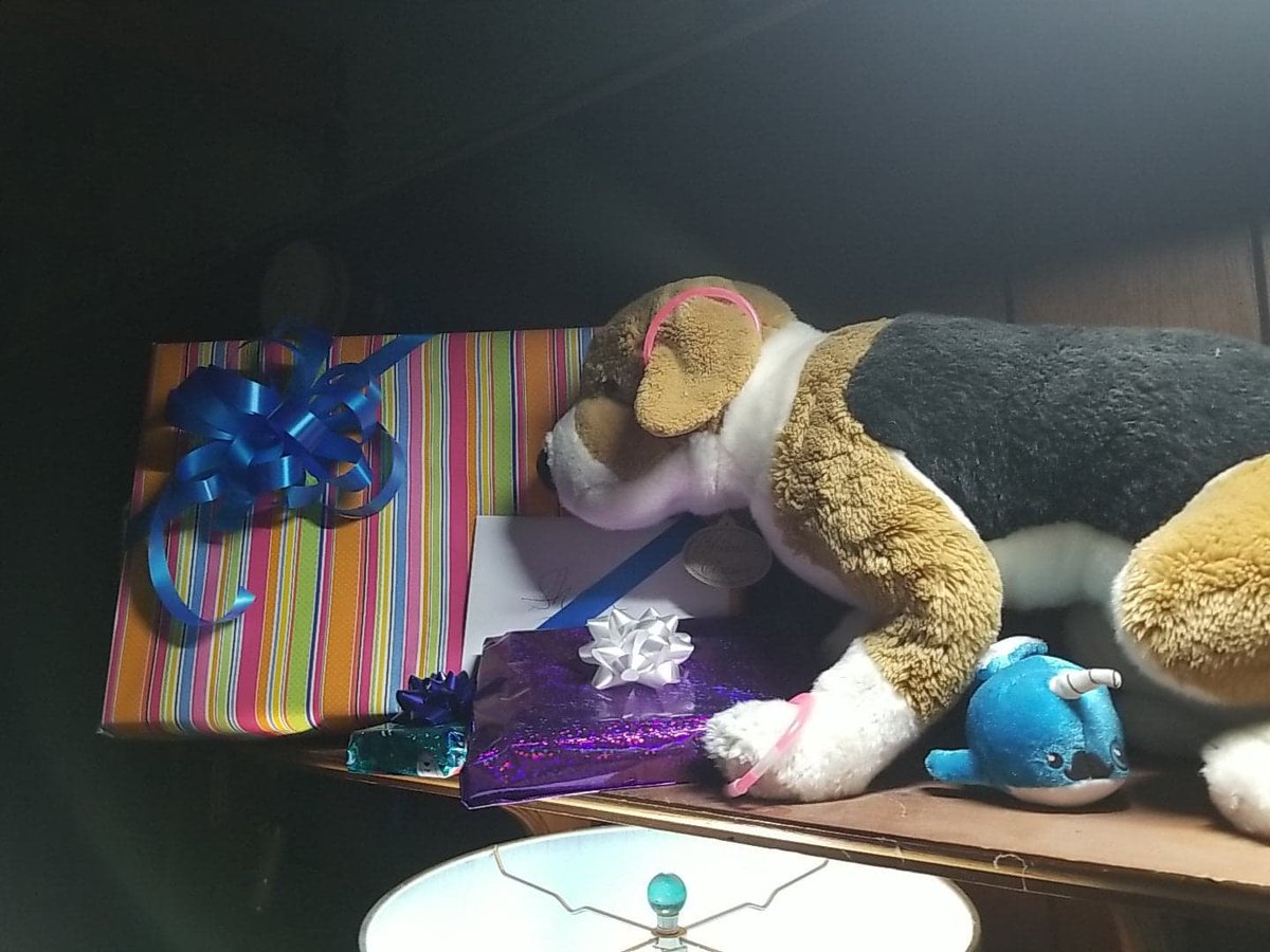 ShanJeniah's tweet photo. @karinstevens31 My stuffed Porthos and a surprise in a pretty, pretty package. #WaitingforWednesday https://t.co/j4IuChiJyp