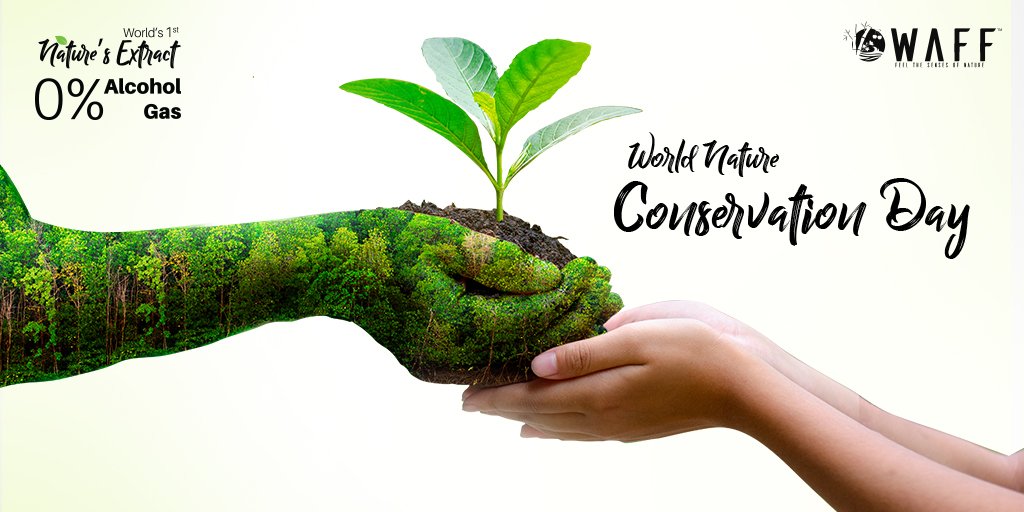 WaffProducts's tweet photo. Conserve the Nature, Conserve the Future!

#nature #trees #conservation #Plant_A_Tree https://t.co/ksFLtw9OgP