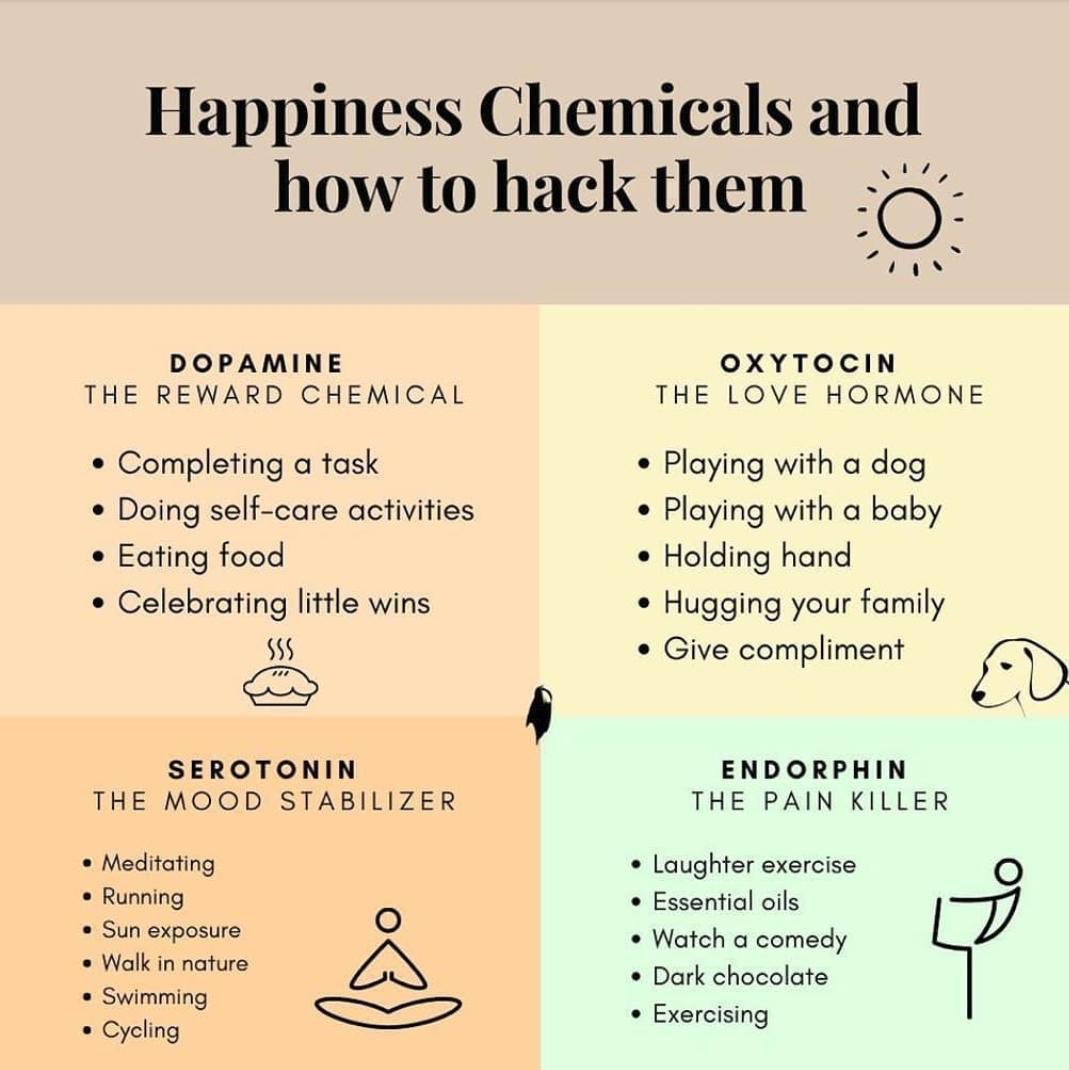 TheHappinessGu1's tweet photo. @anuragbatrayo @Vani_Author @deydreaming @astropraveen @vchatting @NoorNehmat @kritimakhija @madversity @ValaAfshar @kavitagrao @pragnyaram @PaprikaGirl_JP @anuragkashyap72 @VikasKahol @ashokmalik @Raja_sk1 @Th_Radheshyam @ArpitaGhoshMP @pardeepg @jasnuts @Poweropedia1 @Khushsh18 https://t.co/AnUEC0ccFq