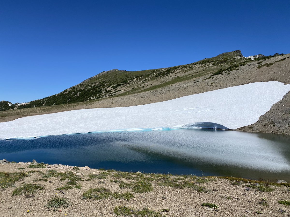 AmsterdamDiY's tweet photo. Great Mountain Rainier! https://t.co/W10LfKCPUt