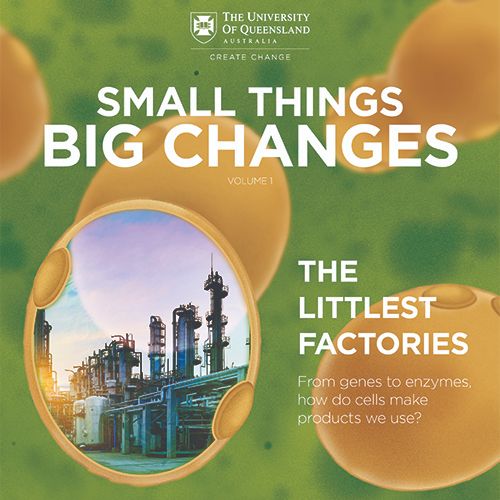 AIBNatUQ's tweet photo. Have you picked up a copy of #AIBN's 'Small Things, Big Changes'?

The magazine focuses on how some of the greatest discoveries and life-changing technologies were derived from the the smallest of beginnings.

#SmallThingsBigChanges

Download a copy: https://t.co/FuEIfhSwrW https://t.co/jprCEd12d7