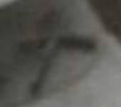 In addition to the patch, we can easily see the crossed rifles on his collar, his rank (LT tho a bit hard to tell if gold or silver I thought), and his Distinguished Service Cross alongside a Croix de Guerre. 10/x