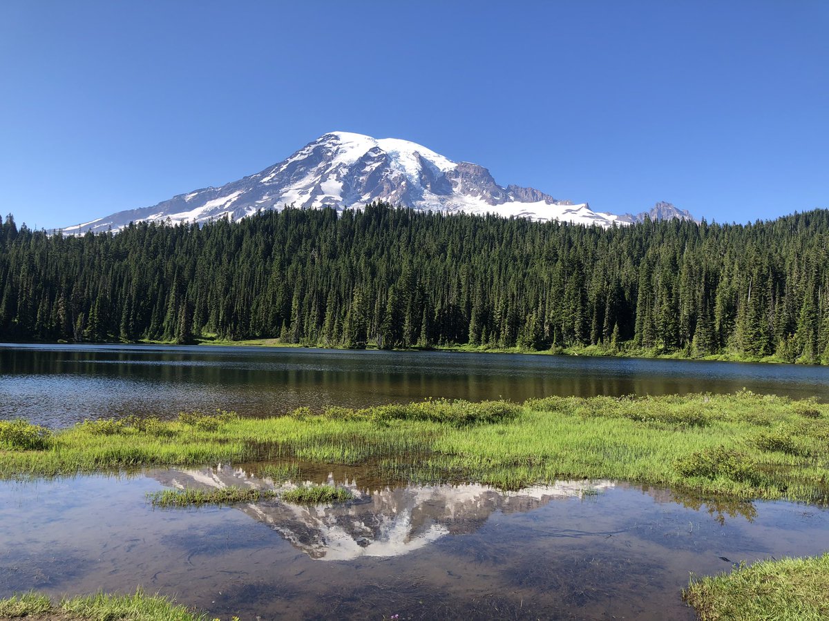 AmsterdamDiY's tweet photo. Great Mountain Rainier! —2 https://t.co/YOn6JjAlLa