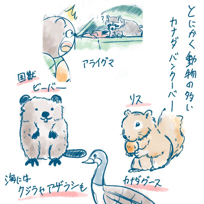 「りゅうがくま君の留学あるある!」
今回もカナダのバンクーバー!日本にはないあるあるです。

https://t.co/B7ejX39zEU

#りゅうがくま君
#留学あるある
#りゅうがくま君の留学あるある!
#PR 