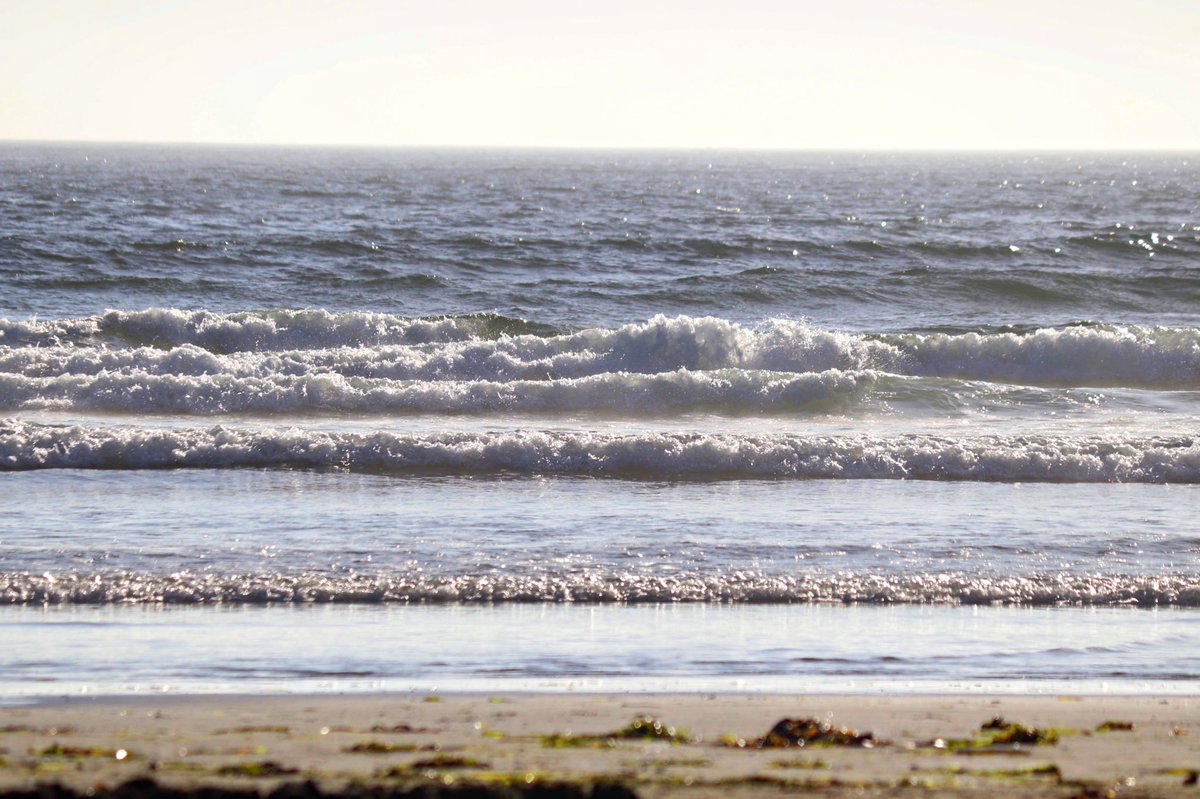 “The ocean stirs the heart, inspires the imagination & brings eternal joy to the soul.” - Wyland #keanimages
#longbeach #tofinobc #ocean #qotd #NaturePhotography #vancouverisland #landscapephotography #beautifulbc