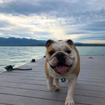 Photo by Zoë Olson (@zoekolson)
