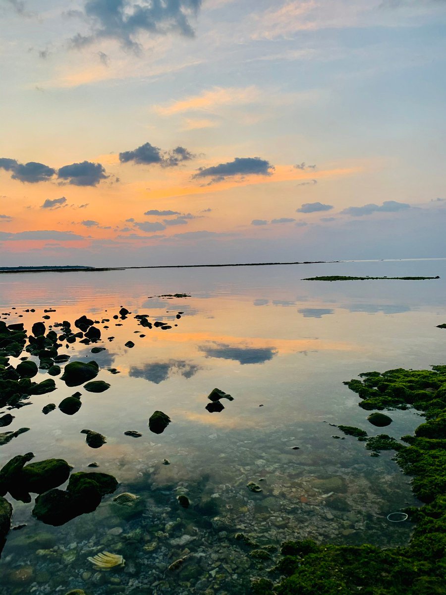 夕暮れ時の石垣島!

風のない日はこんな感じで空がきれいに海に映ります‼️

小さな魚が泳ぎ回っているのを確認できるくらいに澄んだ海。石垣島最高だぜ!!

#石垣島 #石垣島地元民 #写真