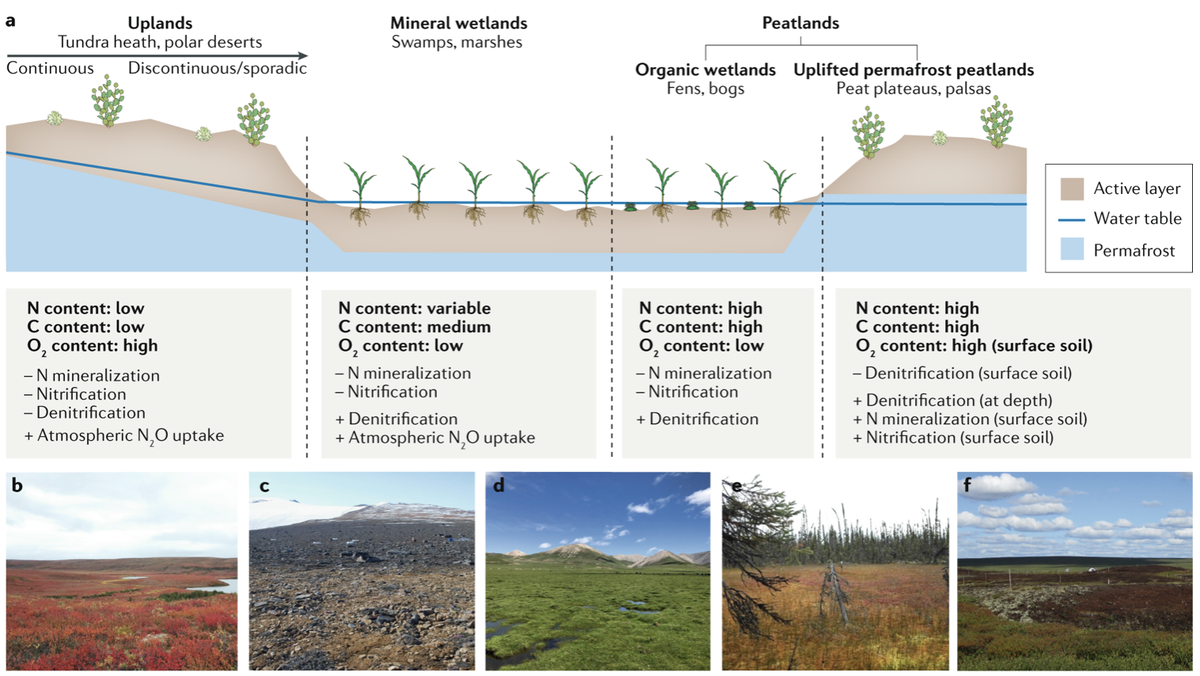 GlobalCarbonProject tweet media