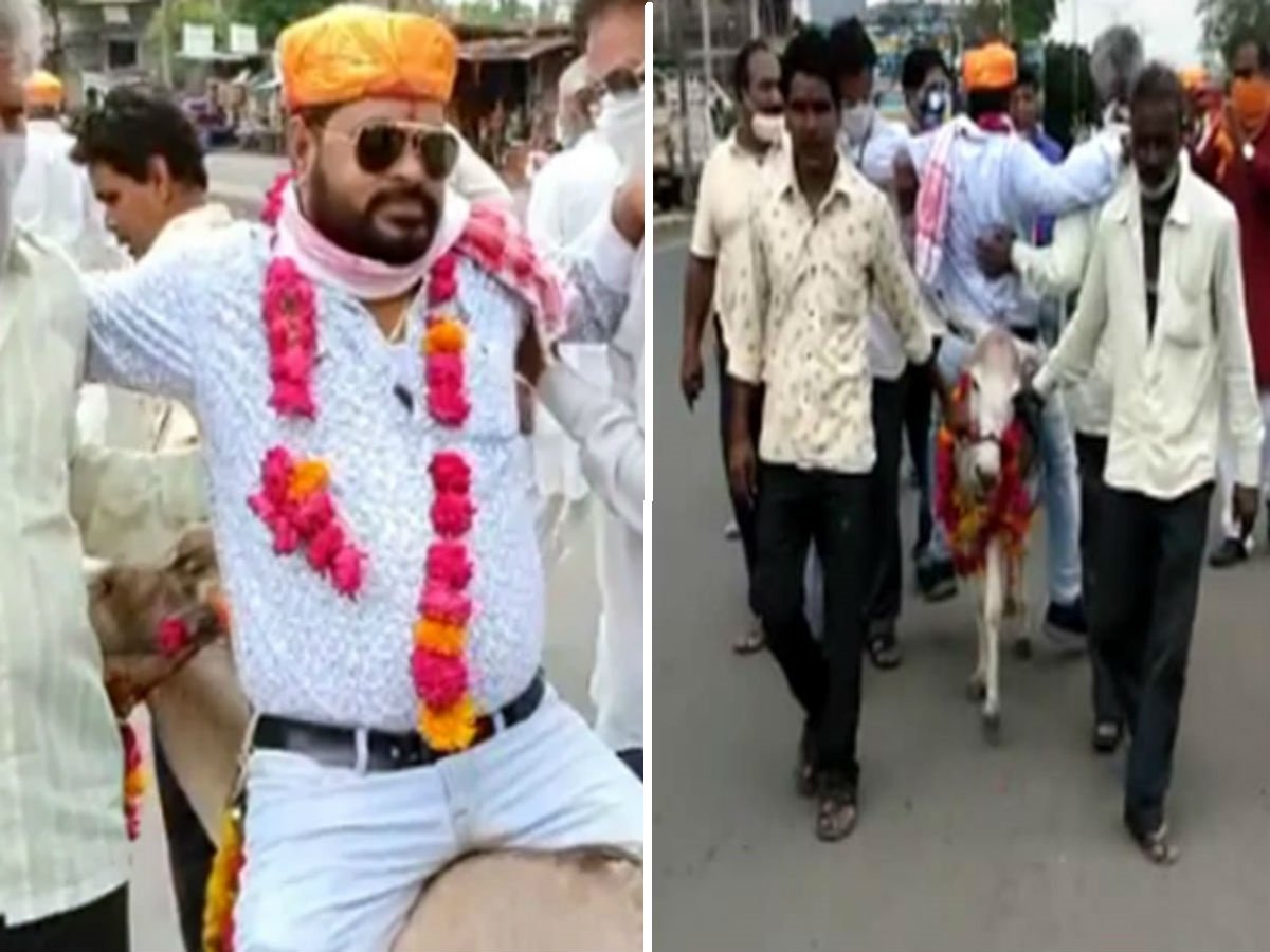 VForViral1's tweet photo. Indore groom Bharat on Donkey. https://t.co/xd00b0TpBA