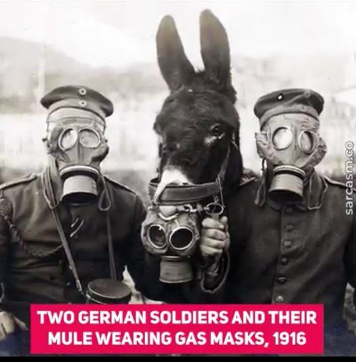 Over a century ago. A different kind of war. But we’re at war once more, against an invisible foe, and we’re wearing masks again...Things change, and sometimes things never change...