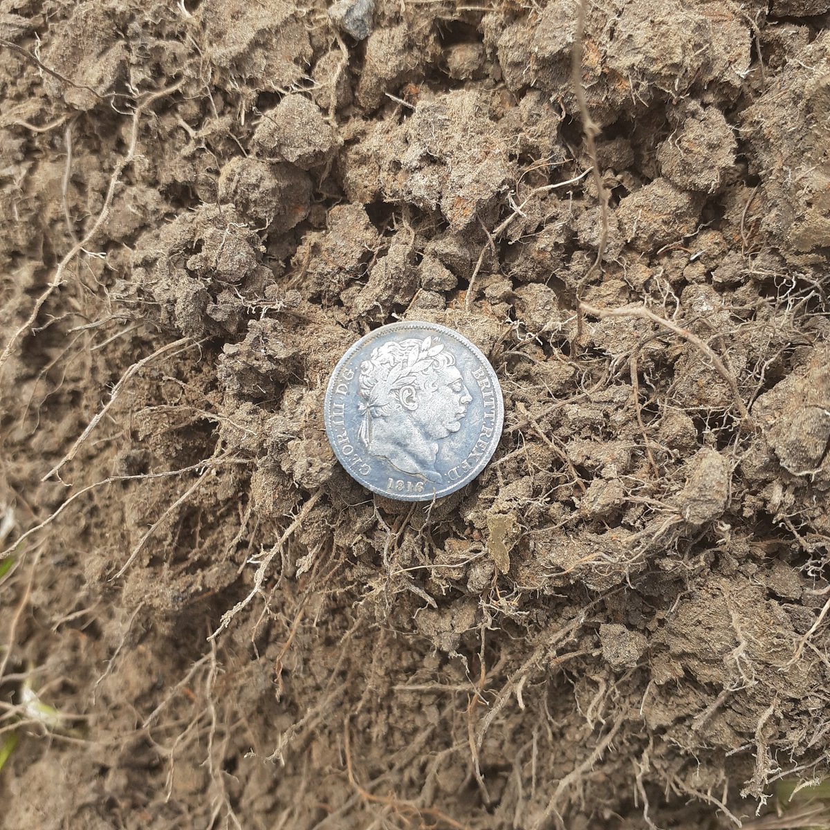 JasonEyres's tweet photo. After a long time home.out a few hrs.found this bad boy. https://t.co/drZqoGgRK4