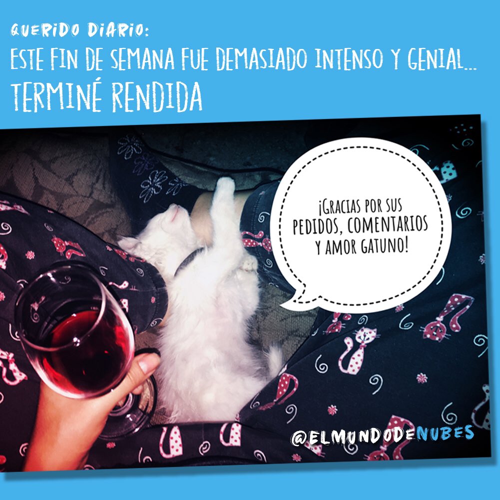 elmundodenubes's tweet photo. Querido Diario: Este fin de semana fue demasiado  intenso y genial! 😻 Muchas gracias por sus pedidos, comentarios y amor gatuno 🤍 #DiarioGatuno #ElMundodeNubes #TienditaGatuna #GatitaNubes https://t.co/kK7jvCV2Sb
