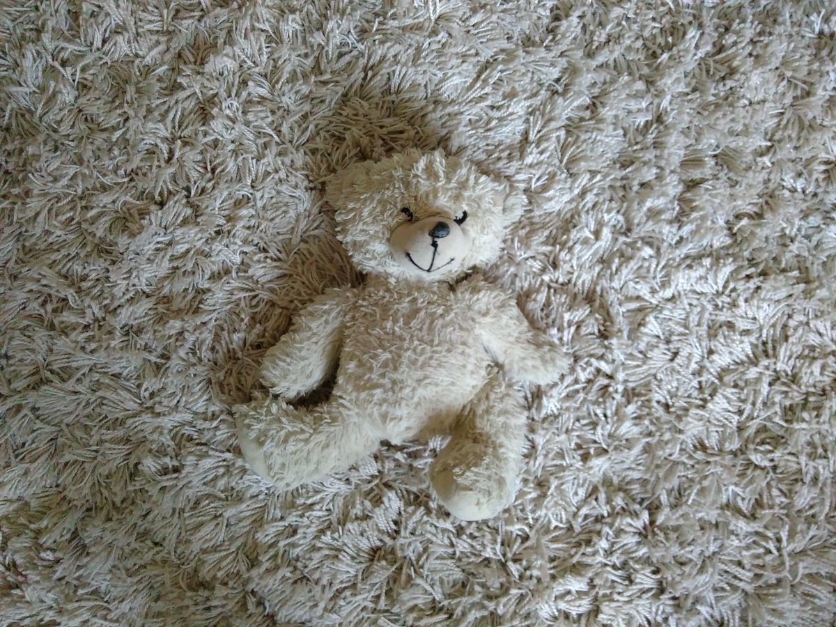 karinreinhardt's tweet photo. Die #Inspiration lauert nicht immer, aber überall. Oft unverhofft. 

Da reg ich mich gerade noch über das – pardon my french – Saupuff der Kinder auf, da hab ich schon ein neues #Wort gefunden: Der Tarn-Teddy. https://t.co/cigfxJJTP9