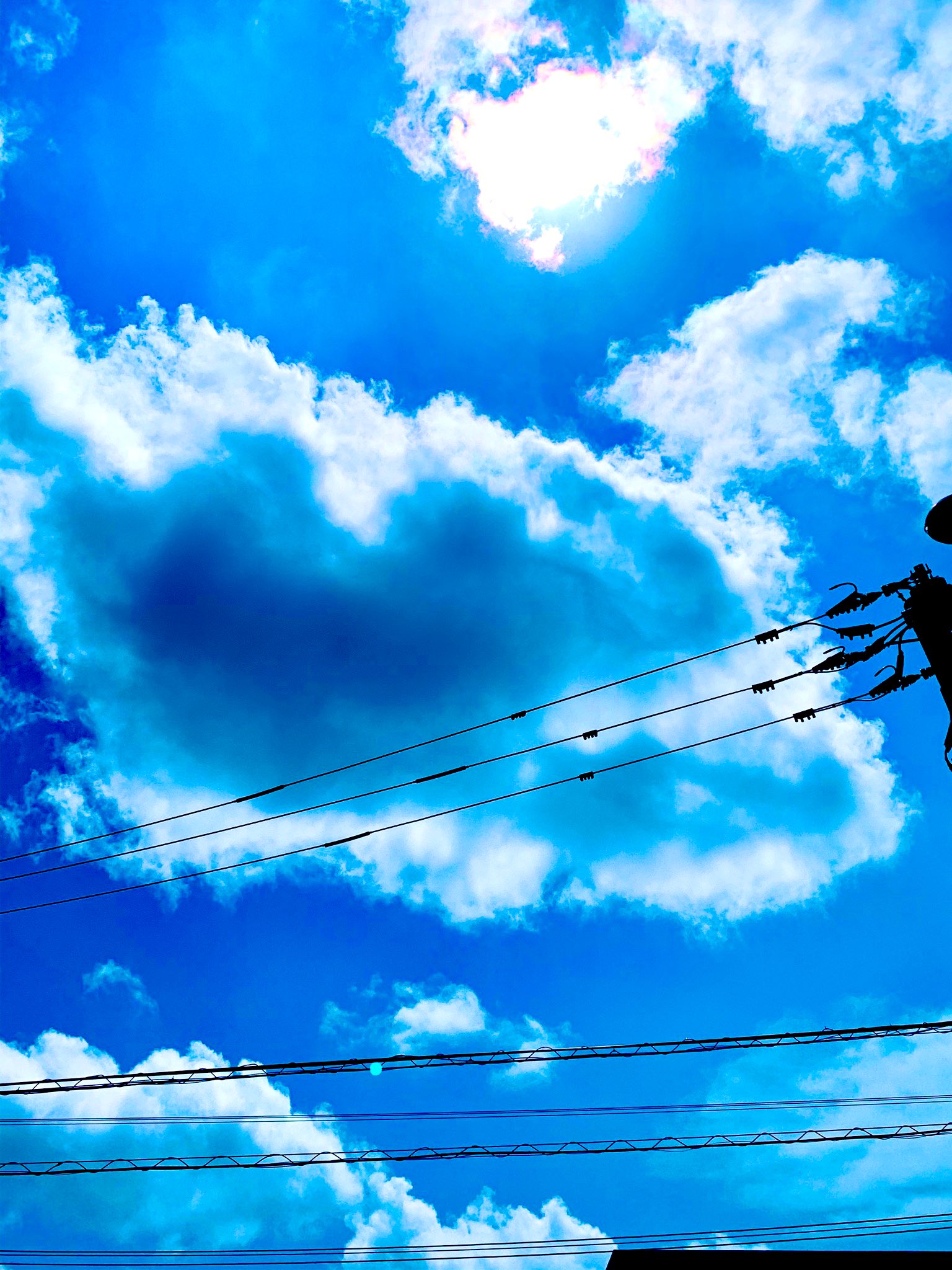 りお Sur Twitter 空 晴れ 太陽に 青空に白い雲 言うこと無しな夏空 暑いけど気分は良き 空 イマソラ 空好き 晴れ 太陽 青空 白い雲 夏空 綺麗 夏 気分良い Sky Sunny Sun Bluesky Whitecloud Summer Summersky Beautiful