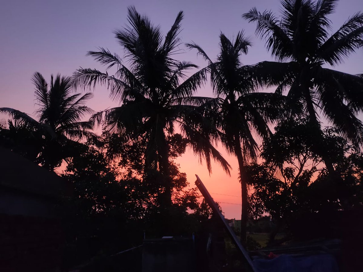 PRIYADA89899188's tweet photo. इस शाम की रोशनी में एक कप coffee के साथ जो शुकुन मिलता है ....वो किसी special day में शायद नहीं मिलता ।😍😍 https://t.co/bqYa3sWtj8