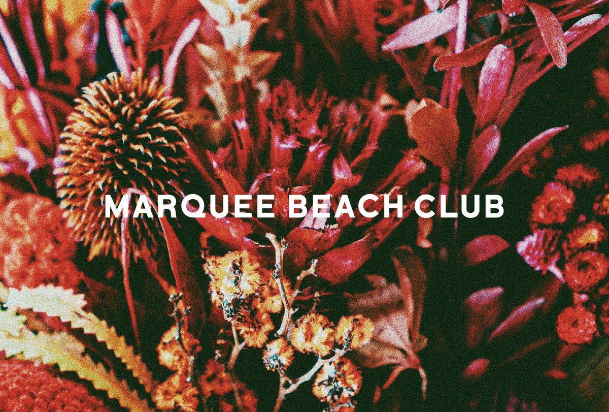 ４me Push いばらき ８月 茨城に関係するアーティストを番組独自にピックアップ １か月間 番組内でアーティストからのコメントと曲をお届けします ８月のアーティストは Marquee Beach Club Mbc Japan 男女ツインヴォーカルが奏でるgood Music