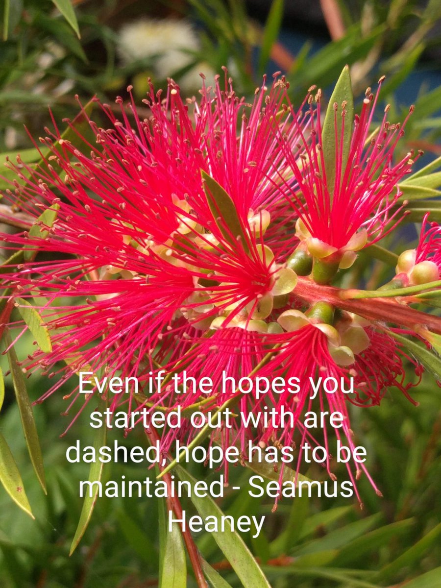 EGM_Cancer's tweet photo. Happy Tuesday ๐
#TuesdayThoughts #tuesdayvibes #hope #thereisalwayshope #maintainhope #staypositive
@JacqDalyEGM @Lynchsyndromirl @SimeonRGreene @seamusheaney09 https://t.co/2NAdD09VwU