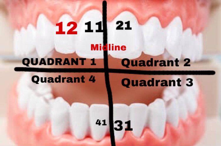 TukangGigi Najib 🦷 tweet media