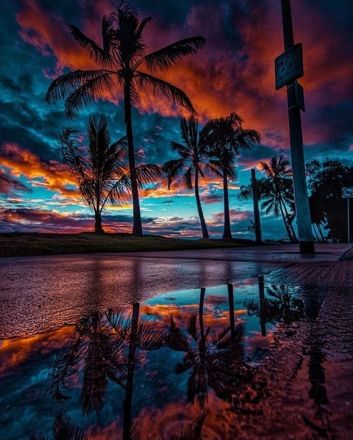 Only Fans Exclusive Network tweet media