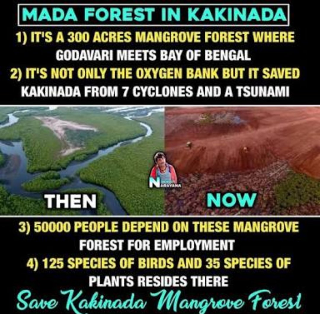 Godavari9999's tweet photo. ఆంధ్రప్రదేశ్ లో ప్రకృతి పరిరక్షణ.
#ప్రపంచపర్యావరణదినోత్సవం
#WorldNatureConservationDay
#SaveMada #SaveMangrove #Kakinada #AndhraPradesh https://t.co/ouQpMM3MwF