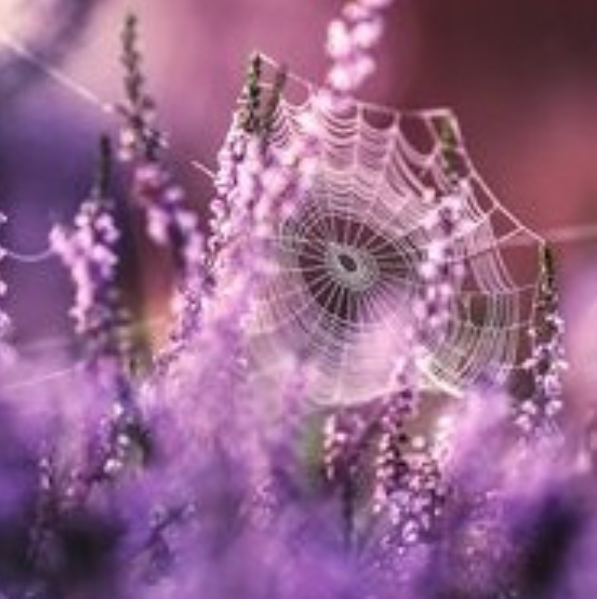 InfinityCoachi4's tweet image. WHAT IS THE RESET METHODOLOGY?
As our #perceptions create our #reality, when we shift that perception, we can #create a whole #newreality. We change the way we see everything, from ourselves, others, and #theworldaroundus. 
infinitycoaching.co