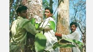 murudeshwara_mp's tweet photo. ನಿಮ್ಮ ಹಸಿರಲ್ಲಿ ನಮ್ಮ ಉಸಿರು🗺️🌱💚

Happy world Nature conservation day!
Remembering Appiko movement 1983 by #SouthIndia(Uttara kannada) folks! 
°ಉಳಿಸು °ಬೆಳೆಸು °ಬಳಸು

#WorldNatureConservationDay #canara #NATURE_WORLD #Karnataka #appiko #savebiodivercity #CovidVaccineRace #Kannada https://t.co/6Fmp9XJpq8