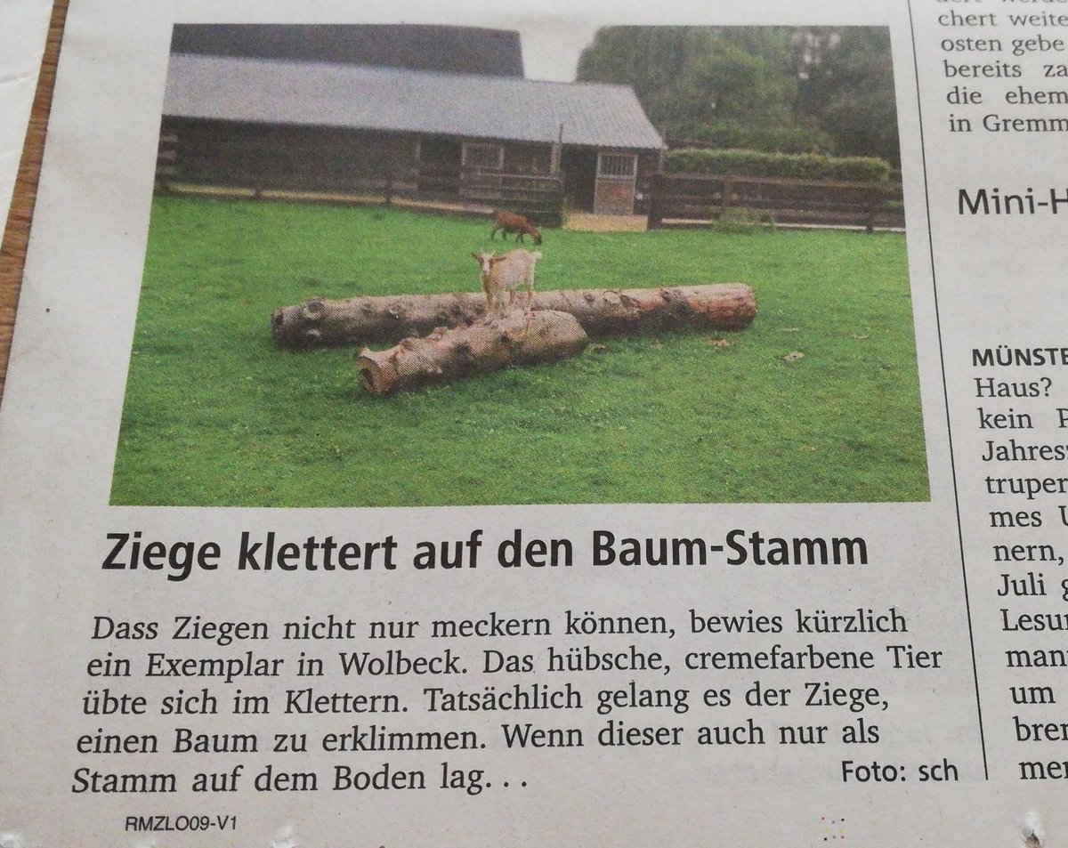 ralfheimann's tweet image. Ihr denkt sicher, was in den USA passiert, ist krass. Dann wart ihr aber wahrscheinlich noch nie in Münster. (via Frank Reinker)