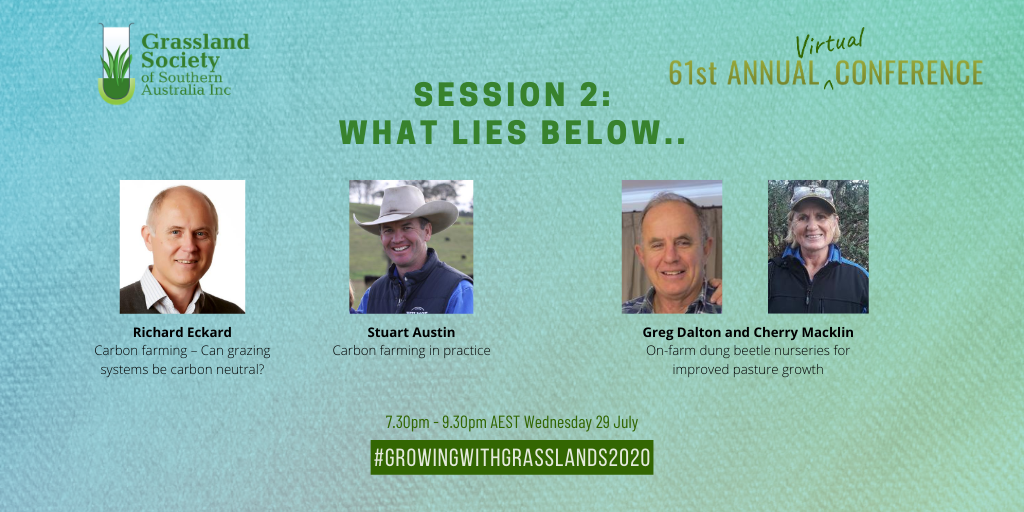 Tomorrow night @ 7:30pm AEST, is Session 2 of the GSSA conference "What lies below...".
Don't forget you can still register for the full conference and get access to the recording of last week's session.

To register grasslands.org.au

#growingwithgrasslands2020