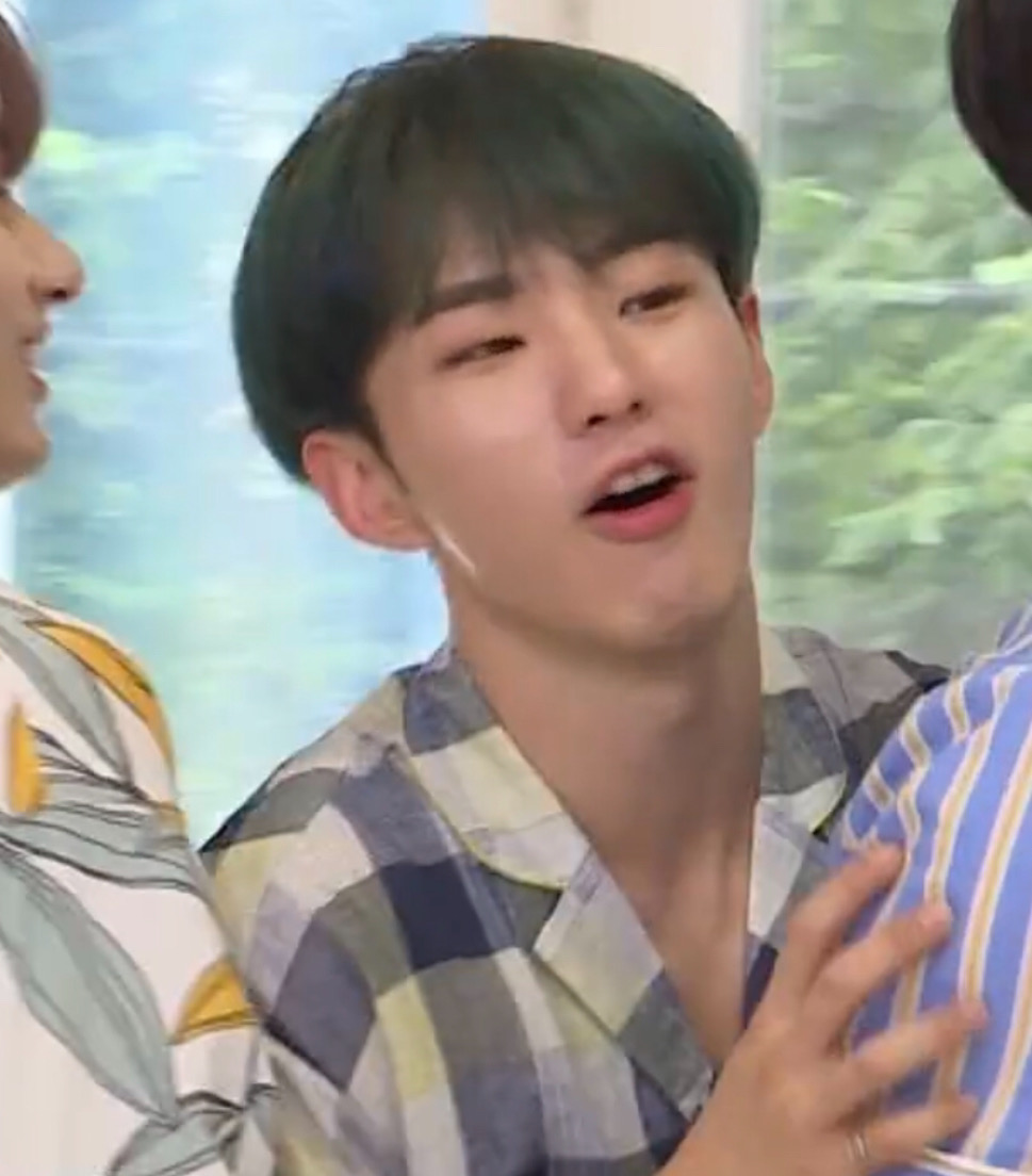 🐯 (@pocketksy) on Twitter photo 