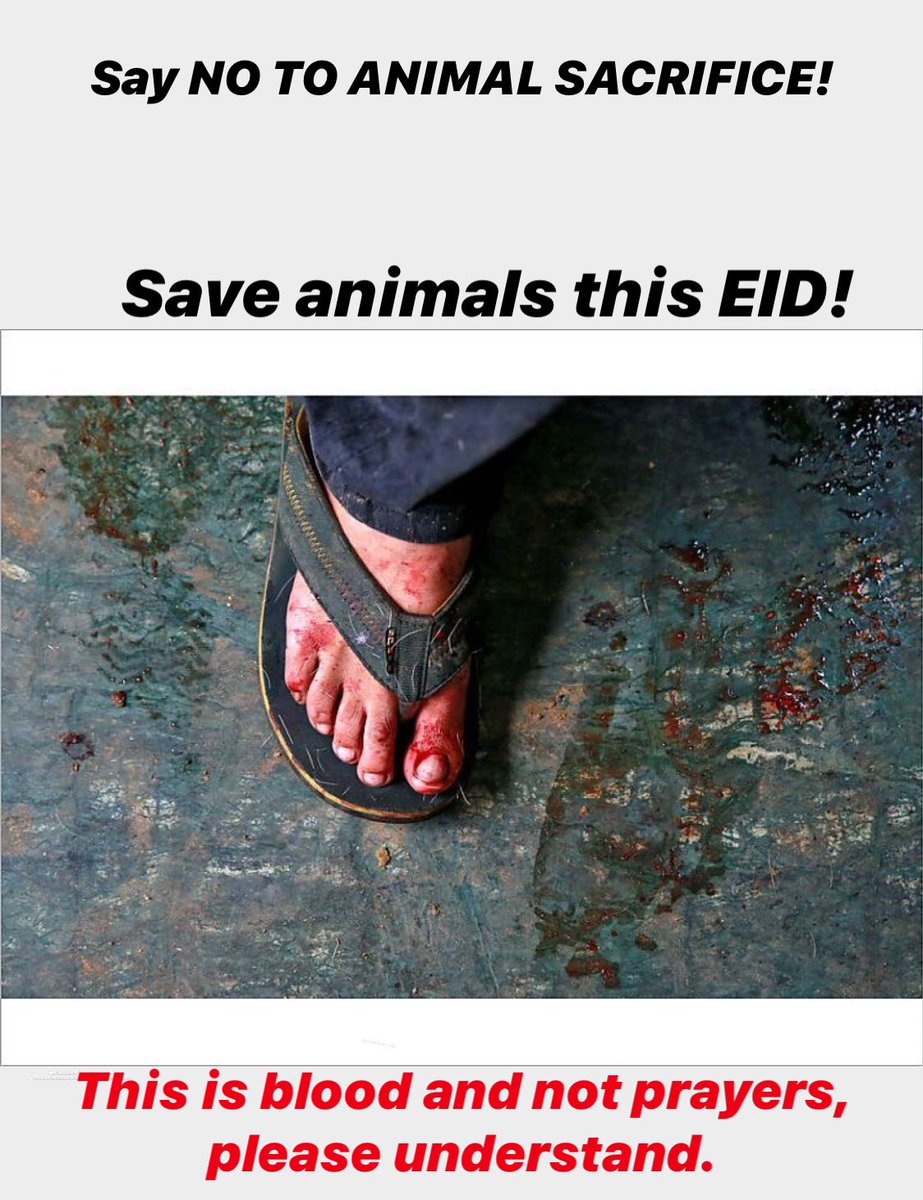 bhargsetusharma's tweet photo. Kindness and humanity above all.
#bhargsetusharma #humanswithhumanity #saynotoanimalsacrifice #animalsareimportant #saveanimalsonEid https://t.co/rbaEoR2OhC