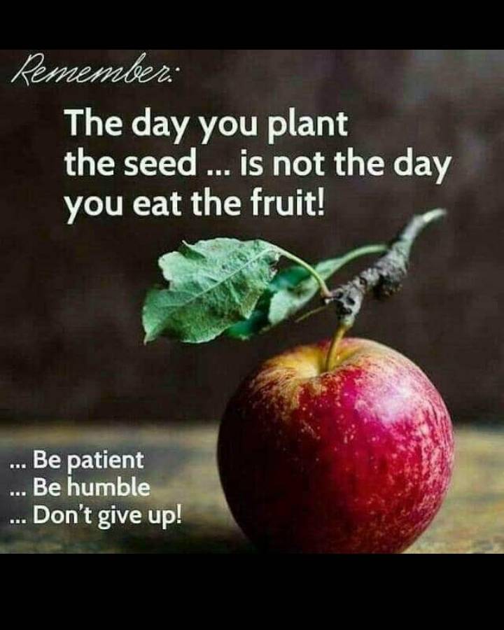 Writecue1's tweet photo. Your clients are on the internet. And if you don't have a digital footprint your business may die. Advertise your business here today. Post the link to your Facebook page, IG page or your website!
#ChooseDay https://t.co/IJyppwxomk
