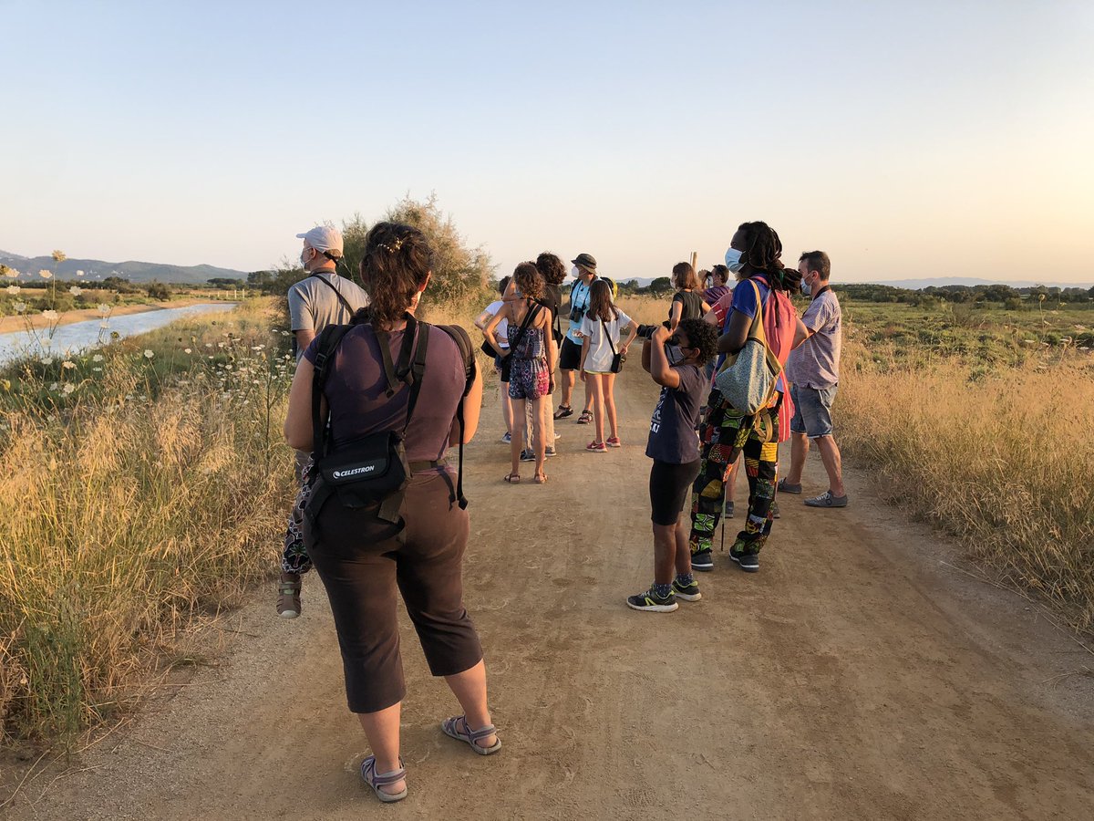 AmicsdLEstartit's tweet photo. Una altra activitat 🔝 que organitza @MdlMediterrania per a qui vulgui conèixer millor el territori de #Torroella #LEstartit: la visita guiada a les maresmes de la #Pletera
Hi veureu esplugabous, corriols, camallargs, salicòrnia, salada blanca...
Cada dilluns
Cal reserva prèvia https://t.co/wp31d6X7jn