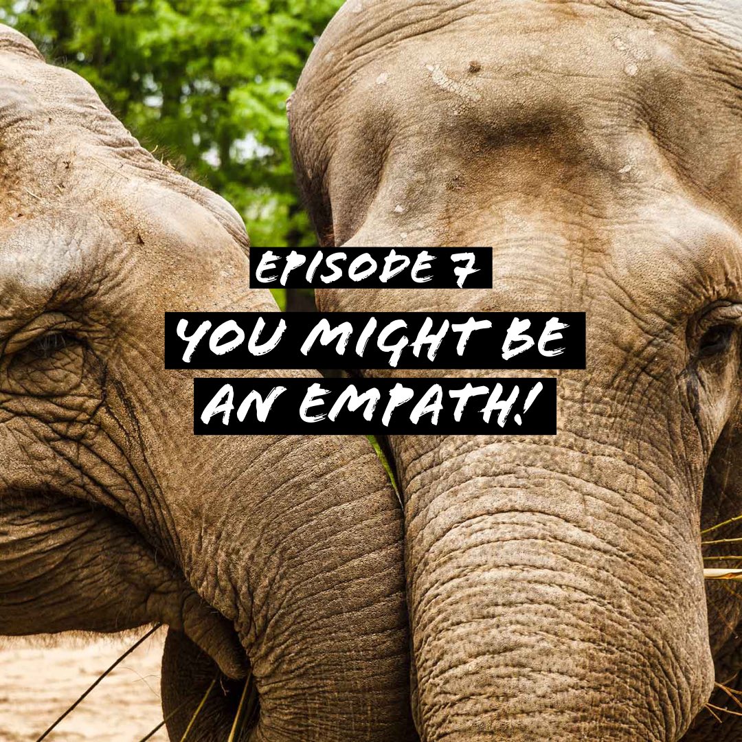 feltpod tweet media