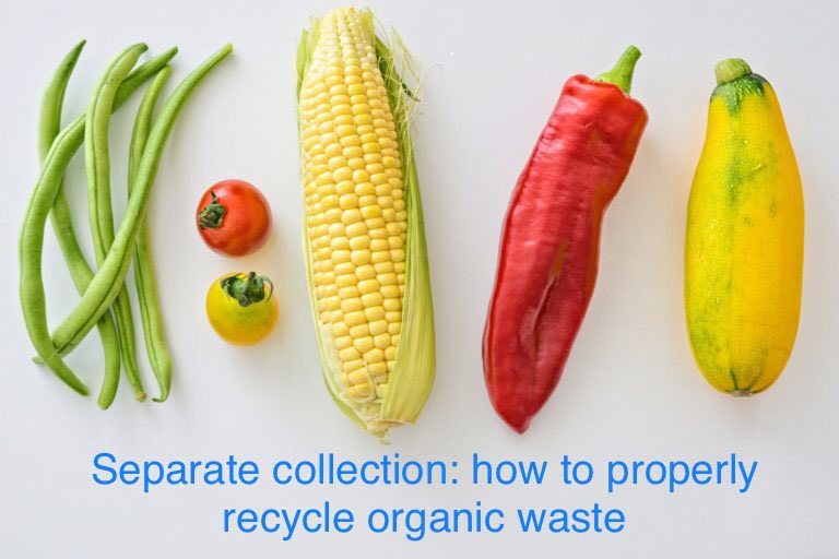 SmartRicicla's tweet photo. #separatecollection : how ti properly recycle #organic #waste on our guide on https://t.co/1nW4nTF5eA https://t.co/0u44kDs7jR