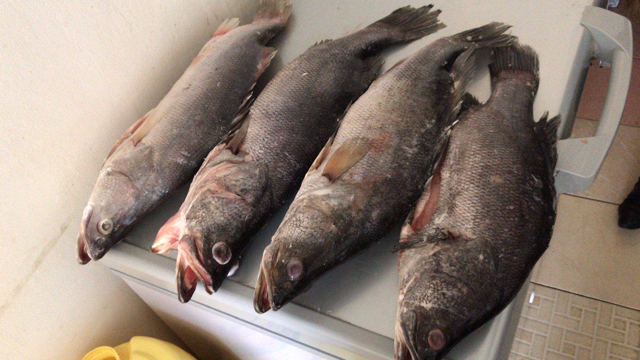 Samaki Centre Food Supplies Foodsamaki Twitter