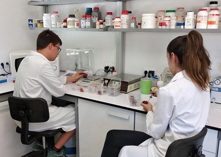 .<a href="/IfapaJunta/">IFAPA</a> y <a href="/fresas_nm/">fnm</a> investigan cómo adaptar la #fresa al gusto de los consumidores #agricultura #investigación fruittoday.com/ifapa-y-fnm-in…