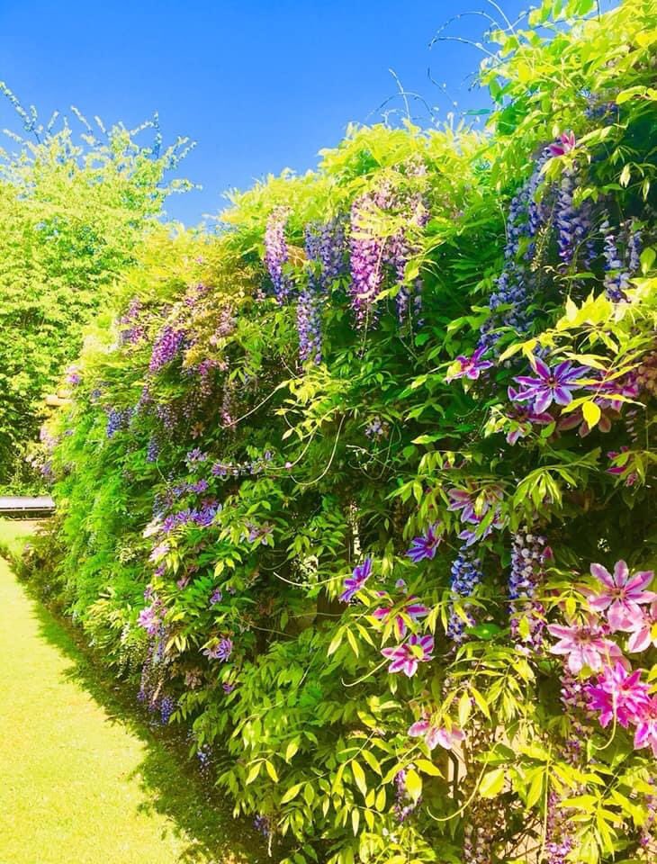 SniffSighYawn's tweet photo. 🚶‍♂️🚶‍♂️🚶‍♂️
Perspective before work, daily 
 #breathingtechniques #Buteyko #breathwork #breath #breathe #breathing #breathebetter #justbreathe #consciousbreathing #bankholiday #consciousconnectedbreathing  #breathawareness #transformationalbreath #breathcoach #breathcoaching https://t.co/F44a5MdhAA