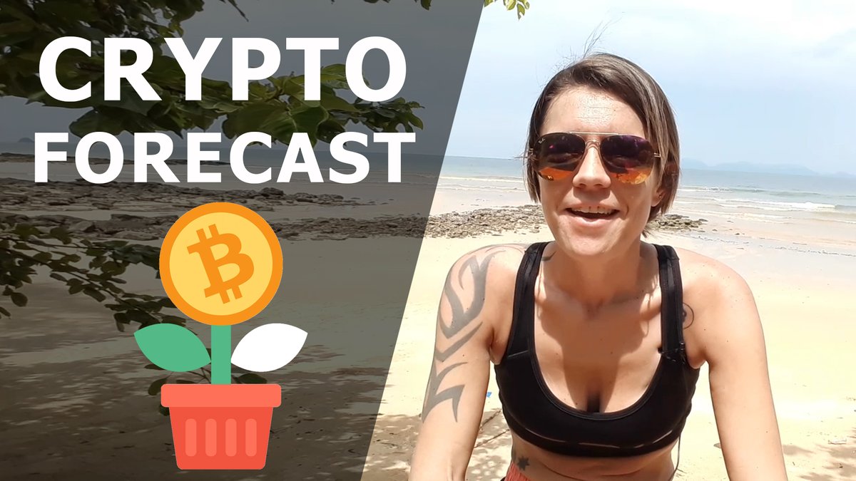 dobe4ever.com tweet media