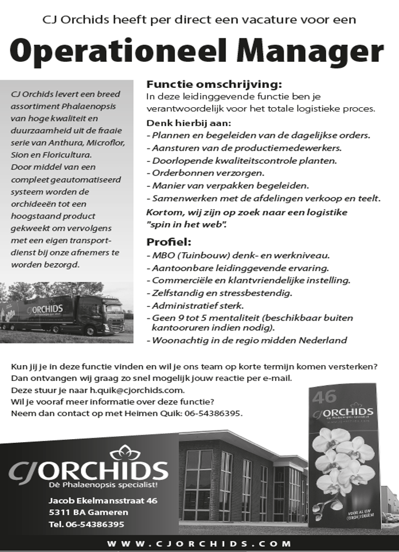 CJ Orchids tweet media