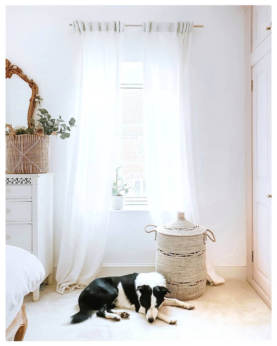 Thestylepad_uk's tweet photo. People often ask me to describe my interior style and "feminine" is a word that keeps popping up. I have tips on how to achieve a feminine design without plastering the room in pink and am thinking of writing a blog post on it? Is this something you'd like to see? 💕🌿

#blogger https://t.co/cTcIydgmTX