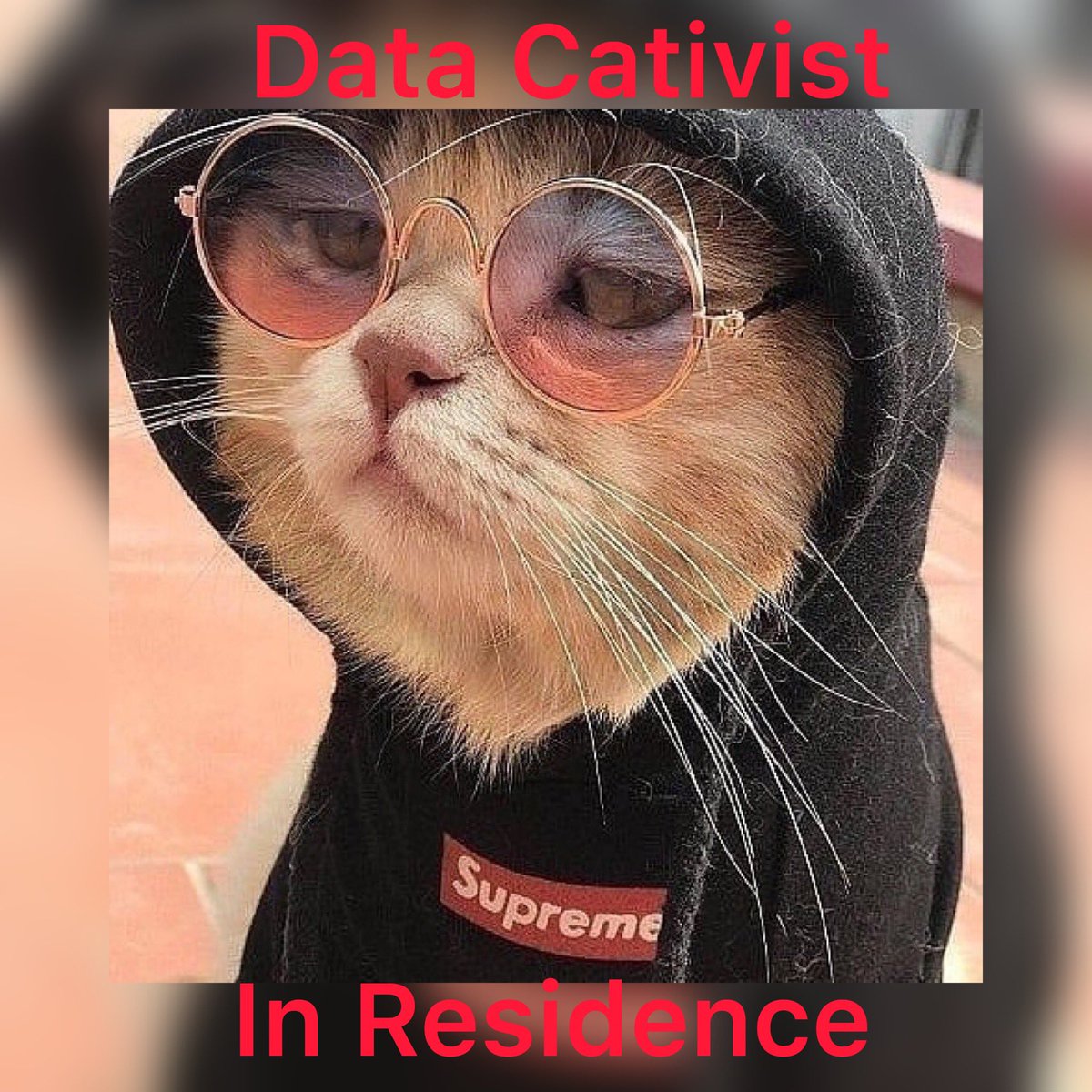pravvy's tweet image. #GitBlame : @lauragabrysiak