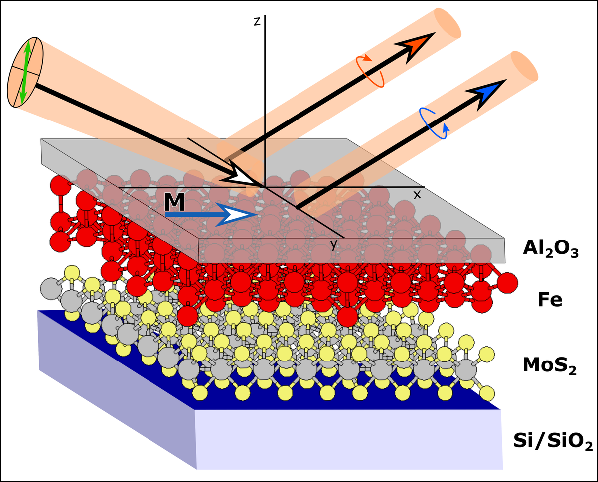 TIFRH_buzz's tweet photo. #ResearchHighlight: In this study, T. N. Narayanan and Karthik V. Raman’s research groups (@TIFRH_buzz) in association Nirmal Viswanathan (@HydUniv) report a method to probe #magnetisation and spin-orbit coupling in an Fe-MoS2 interface. Narayanan elaborates on this recent study. https://t.co/KDOTs0xviN