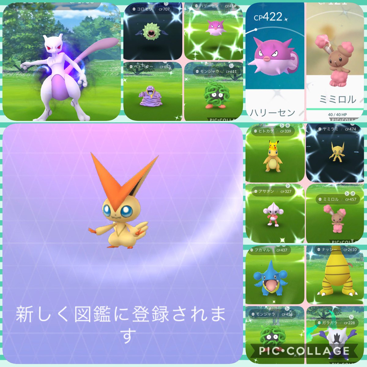 かすみ U ポケフェス2日間おつかれさまでした ˆoˆ 色違いたくさんゲットできて大満足でした 欲を言えば全種類ほしかったけど 2日は早々にロケット団ボコボコにして ビクティニげっと ポケモンgo 色違いポケモン ポケモンgoフェス かすみ U ポケフェス2日間おつかれさまでした ˆoˆ 色違いたくさんゲットできて大満足でした 欲を言えば全種類ほしかったけど 2日は早々にロケット団ボコボコにして ビクティニげっと ポケモンgo 色違いポケモン ポケモンgoフェス