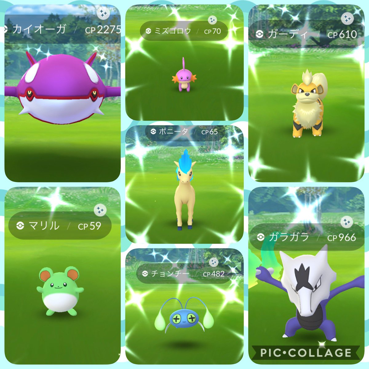 かすみ U ポケフェス2日間おつかれさまでした ˆoˆ 色違いたくさんゲットできて大満足でした 欲を言えば全種類ほしかったけど 2日は早々にロケット団ボコボコにして ビクティニげっと ポケモンgo 色違いポケモン ポケモンgoフェス かすみ U ポケフェス2日間おつかれさまでした ˆoˆ 色違いたくさんゲットできて大満足でした 欲を言えば全種類ほしかったけど 2日は早々にロケット団ボコボコにして ビクティニげっと ポケモンgo 色違いポケモン ポケモンgoフェス