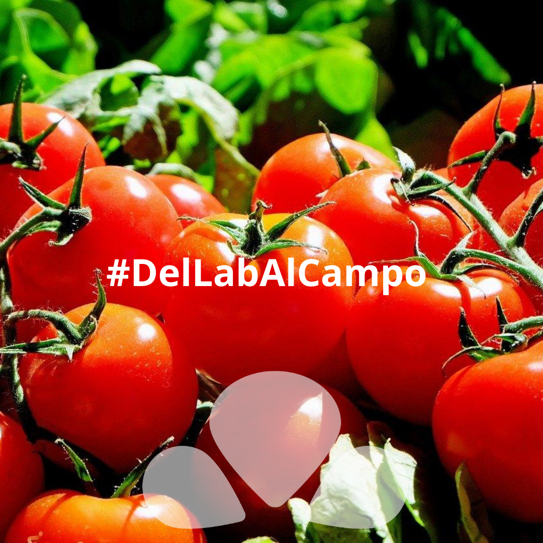 BelchimEspana's tweet photo. Porque la agricultura actual no se podría entender sin su relación con los avances tecnológicos🛠 y científicos 🔬actuales. Este mes hemos seguido el hashtag #DelLabAlCampo. https://t.co/MRVdImX5Ua